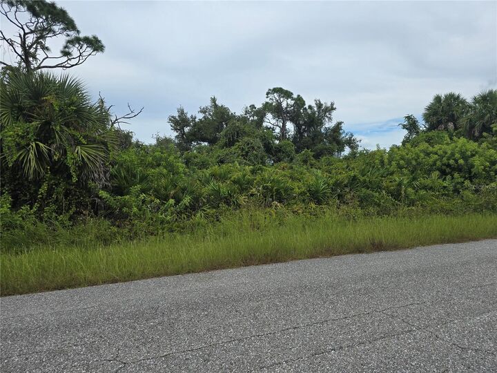 Property Photo: 13381 Amaryllis Circle FL 33981