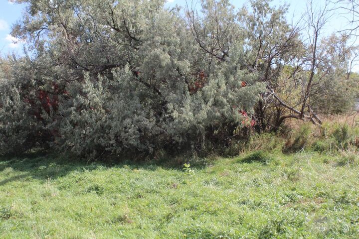 Lot 5 Sage Road  Newcastle WY 82701 photo
