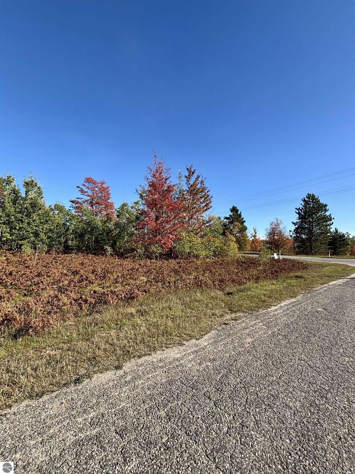 Property Photo: Lot 1200 Thornton Drive MI 49659