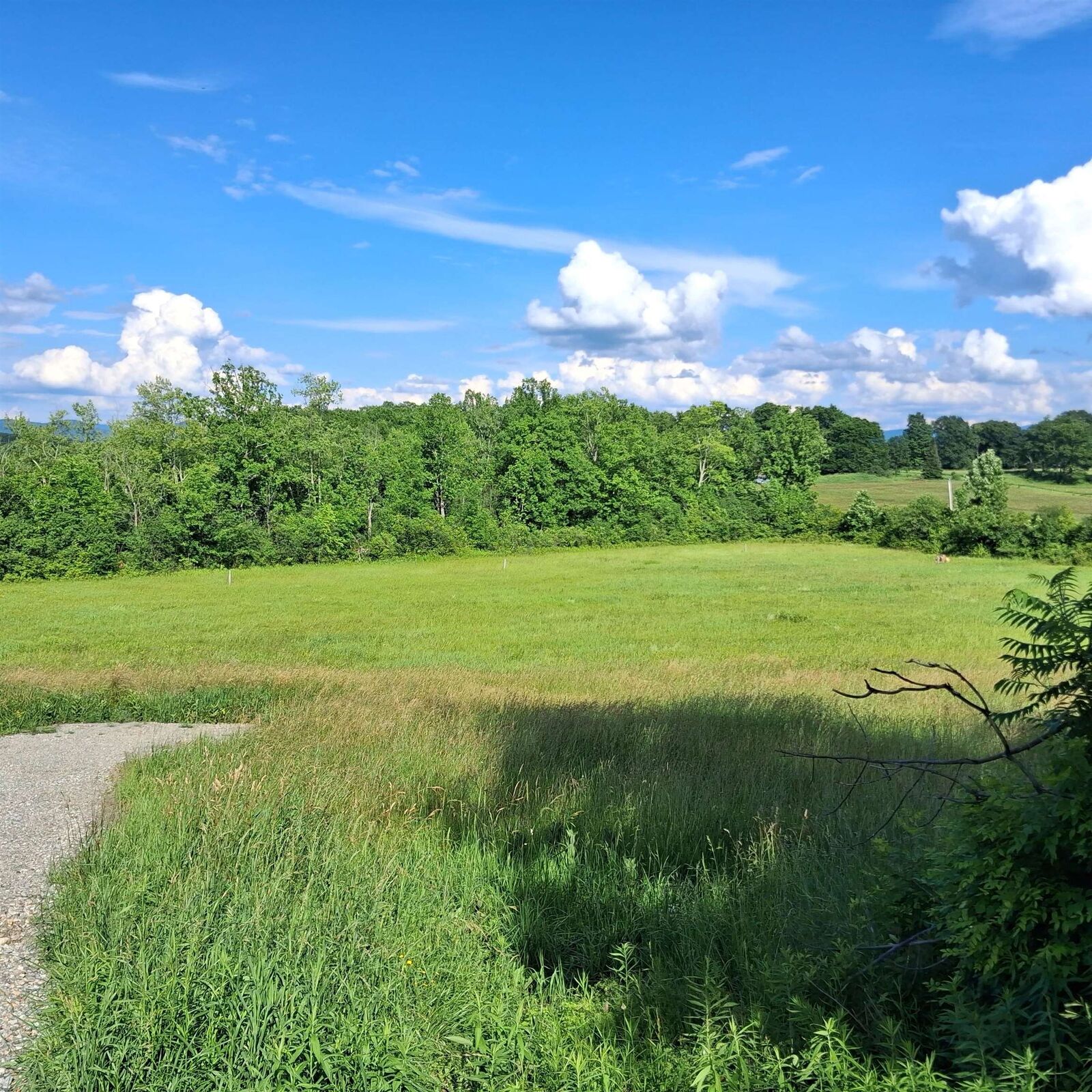 Property Photo: 3495 Spear Street VT 05445