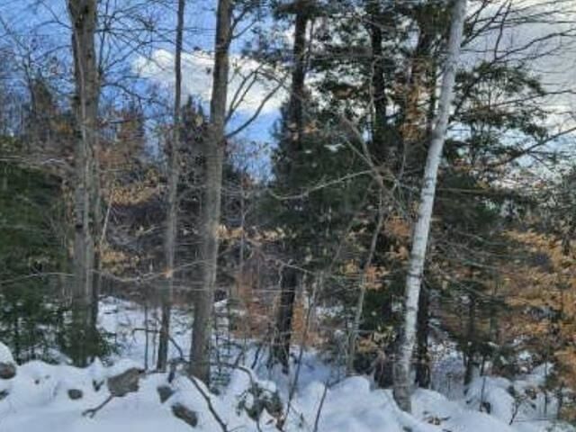 Property Photo:  Huntington Hill Road  NH 03281 