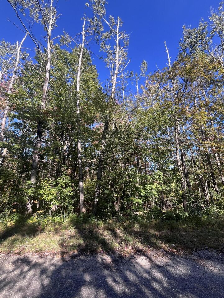 Property Photo: Lot 471 Northgate Drive MI 49730