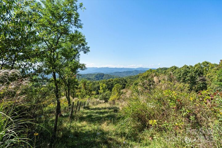 Property Photo:  1623 Ammons Branch Road  NC 28753 