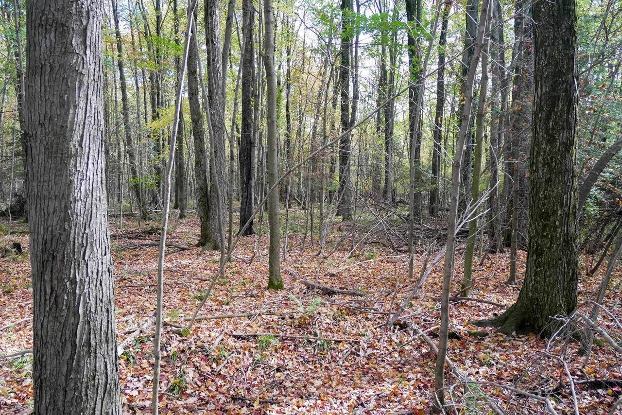 Property Photo:  +/-28.65 Acres Oriole Drive  WI 54451 