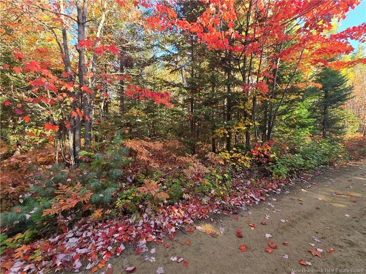 Property Photo:  28 Acres Rue Des Fondateurs  NB E8R 1B3 
