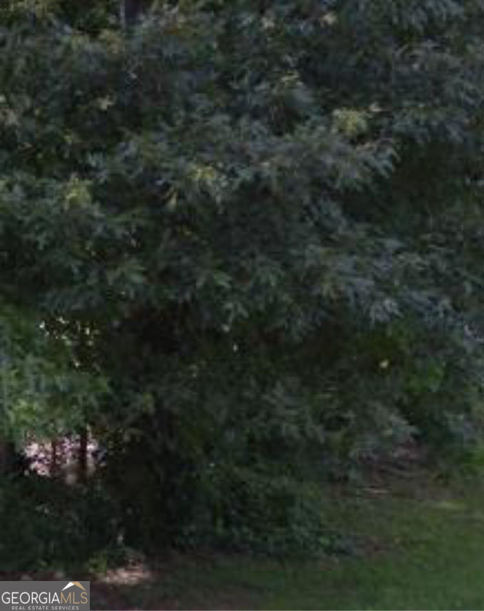 Property Photo: 11005 Regents Court GA 30228