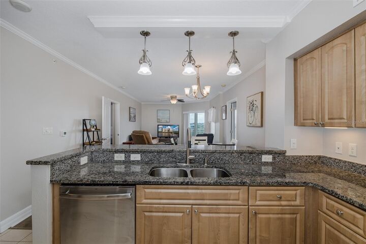 Property Photo: 4516 Seagull Drive 411 FL 34652