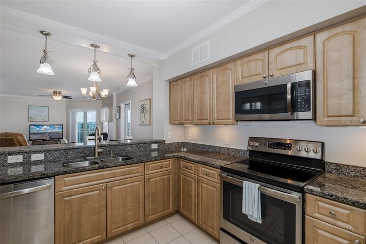 Property Photo:  4516 Seagull Drive 411  FL 34652 