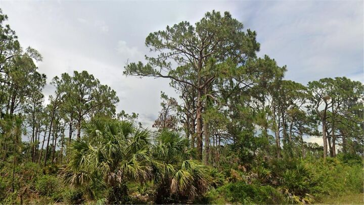 Property Photo: 13498 Fairbanks Avenue FL 33953