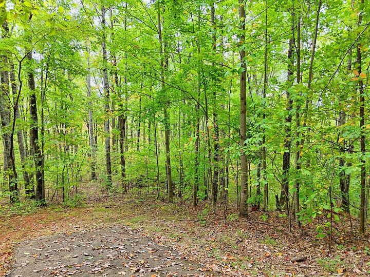 Property Photo:  Lot 1 Skyview Drive  NC 28904 