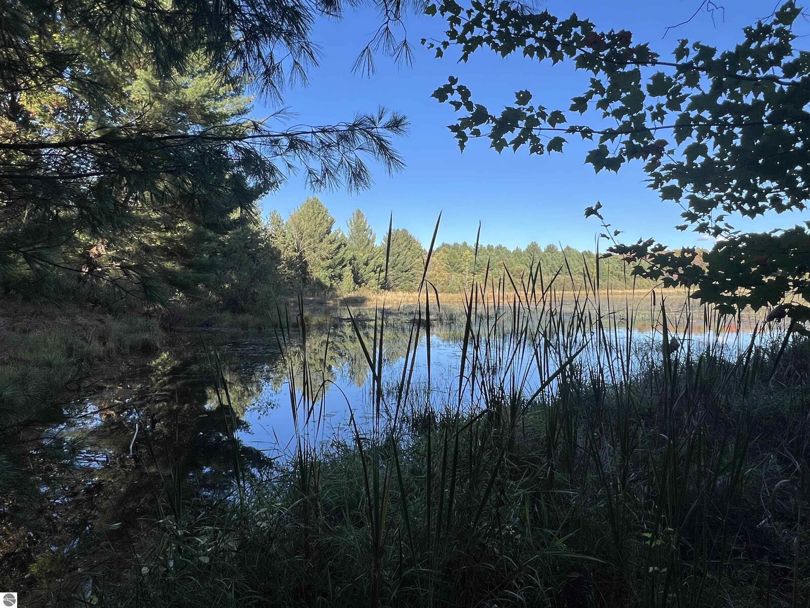 Property Photo:  7556 210th Avenue  MI 49677