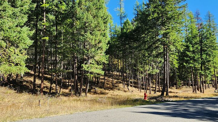 Property Photo:  122 Kinnikinnik Circle  MT 59937 