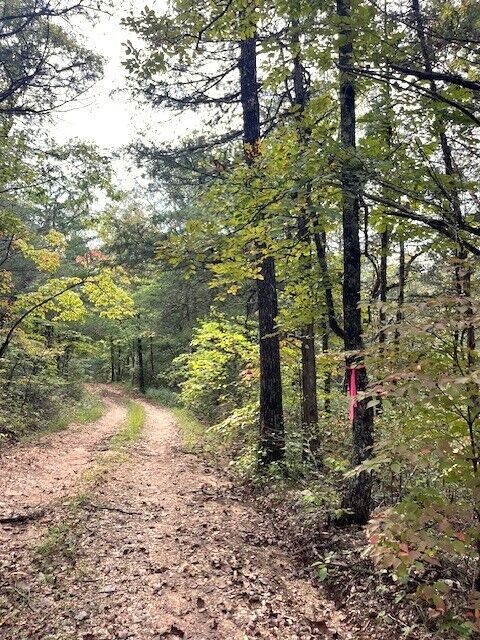 Property Photo:  Nc 2922 Heartsong Lane  AR 72648 