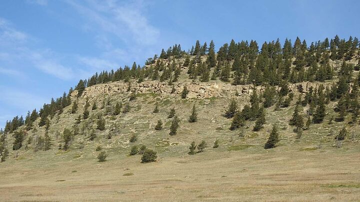 Property Photo: 157 Acres Snake Trail AB T9K 1W0