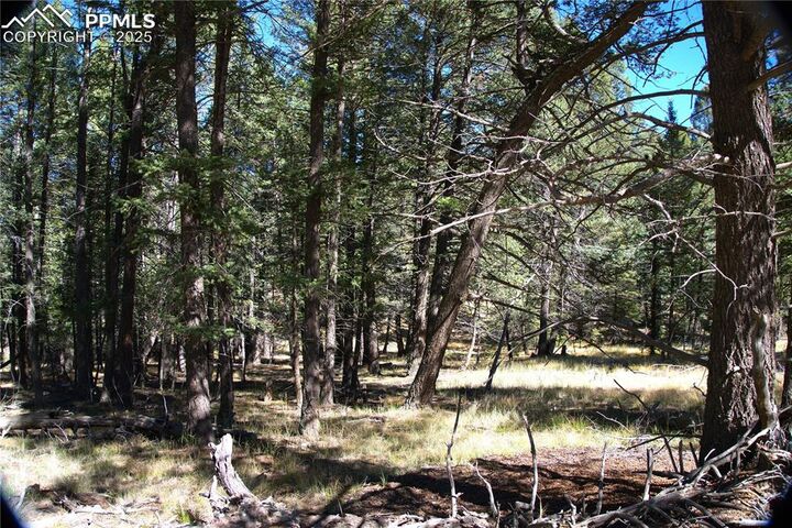 Property Photo: 252 Southpark Road CO 80816