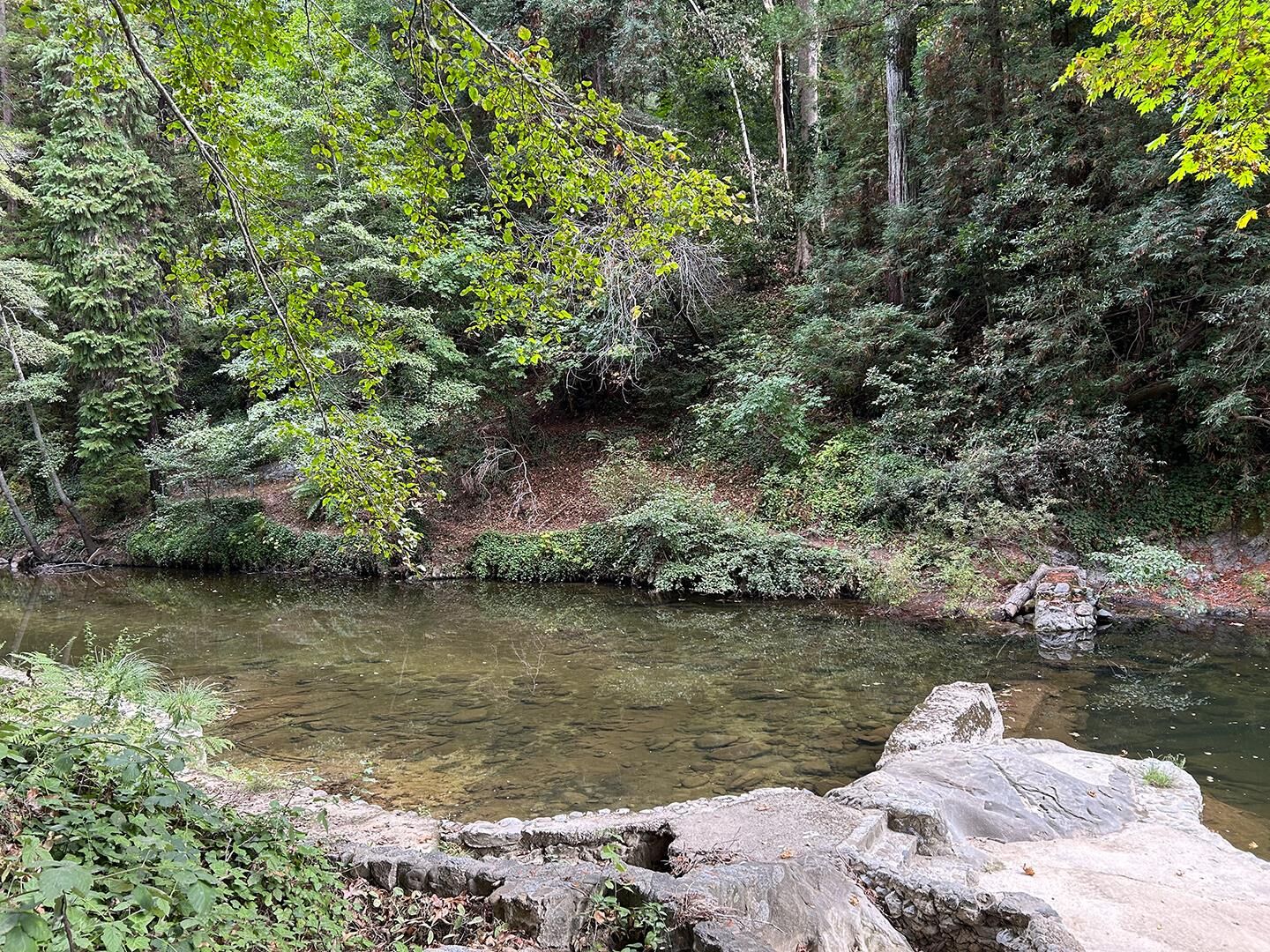 Property Photo:  11085 Riverside Road  CA 95007 