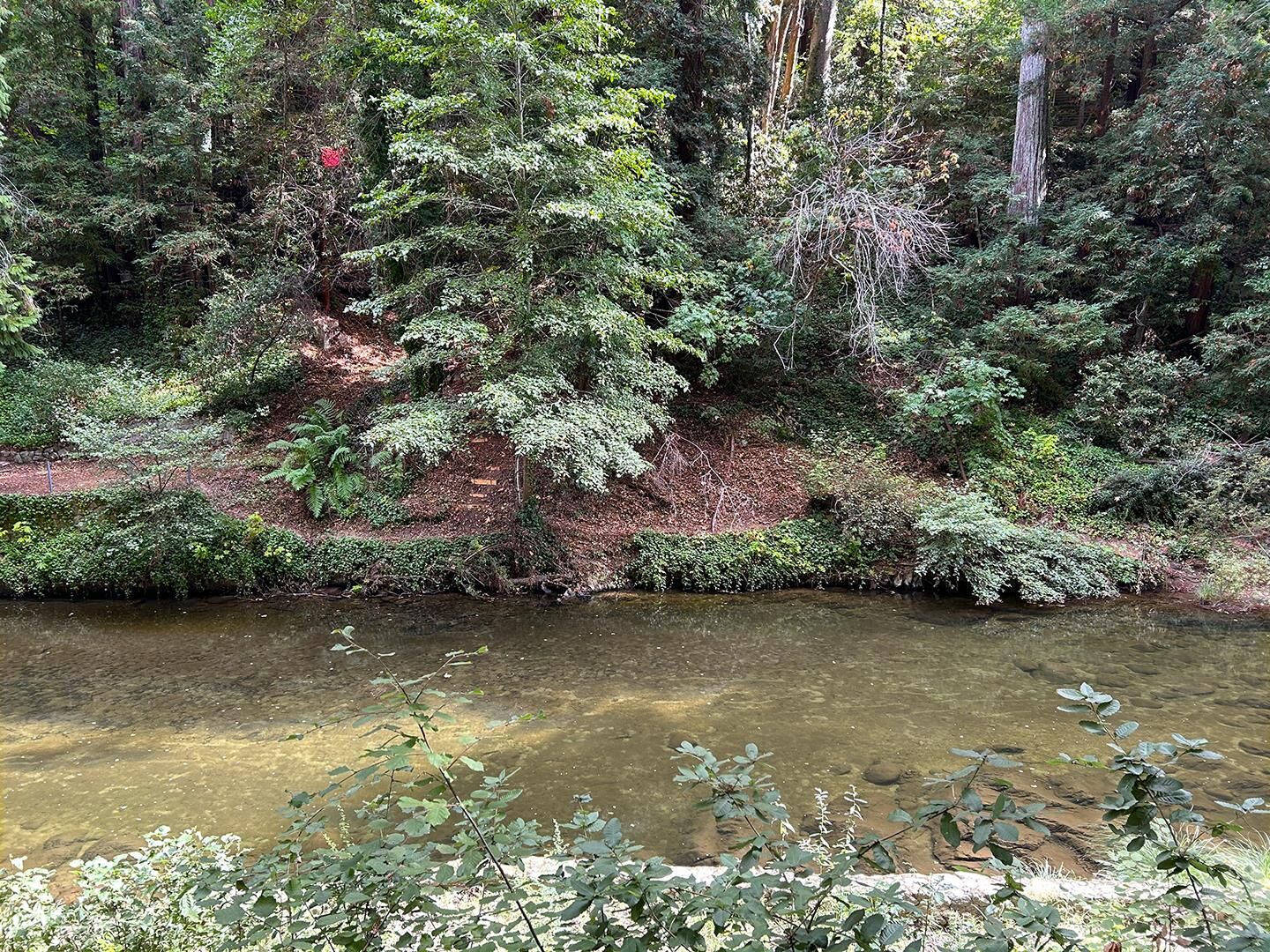 Property Photo: 11085 Riverside Road CA 95007
