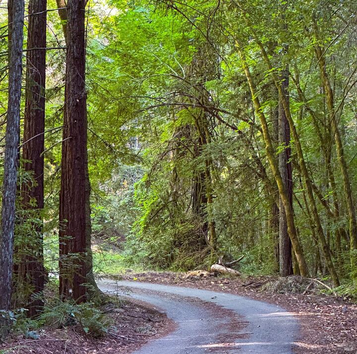 Property Photo:  3150 Mill Creek Road  CA 95448 