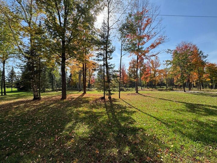 Property Photo: Lot 2 Mercer Lake Cr S WI 54547