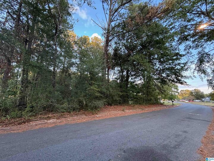 Property Photo: 0 Sedgefield Drive 11 AL 35150