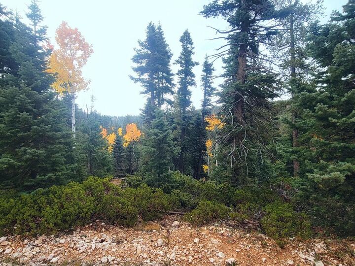 Property Photo:  55 S Quakie Place  UT 84762