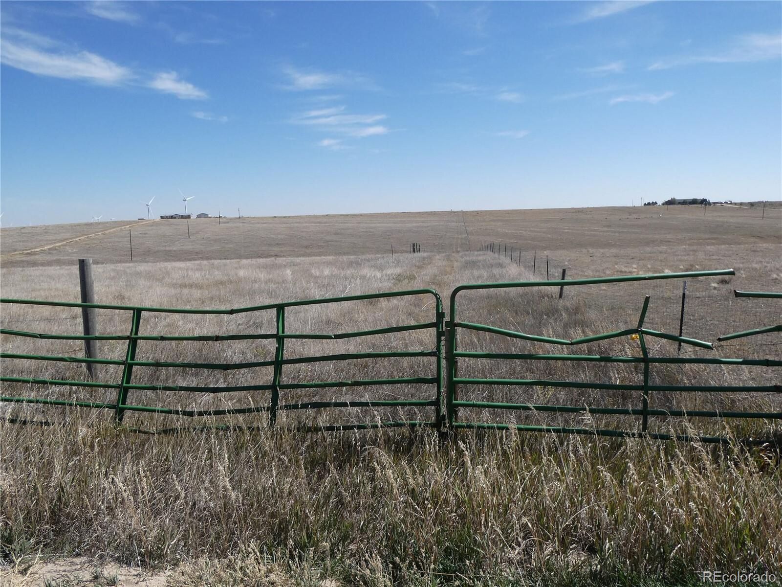 Property Photo:  11701 County Road 137  CO 80835 