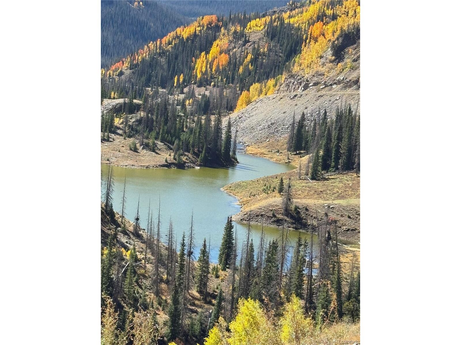 Property Photo:  0 Fsr 247  CO 81120 