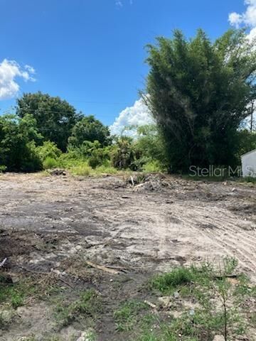 Property Photo: 2011 Calle Bonito FL 33982
