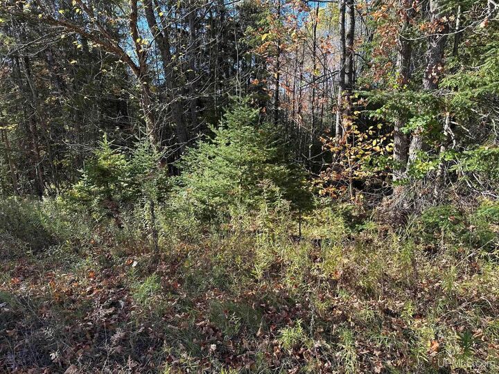 Property Photo:  Tbd Bloomgren Marsh Road  MI 49892 