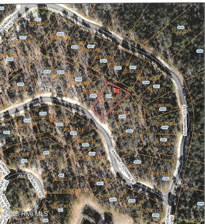 Property Photo: 3042 741 Cassimir Crossing SE NC 28422