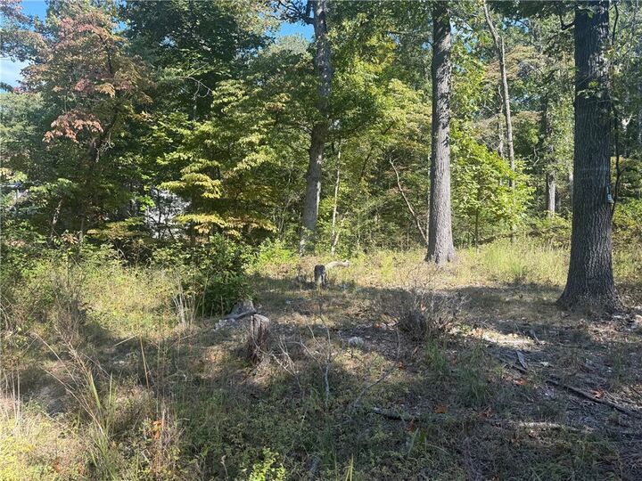 14848 Wild Honey Lane  Garfield AR 72732 photo