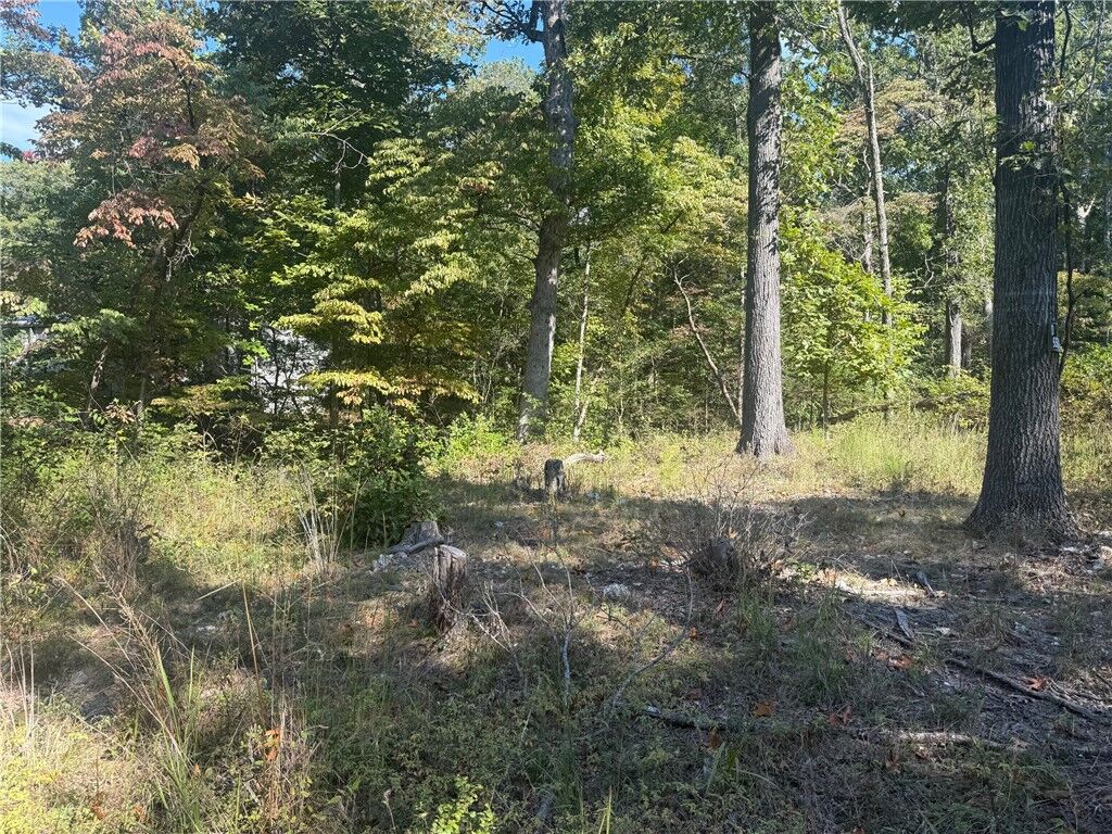 Property Photo:  14848 Wild Honey Lane  AR 72732 