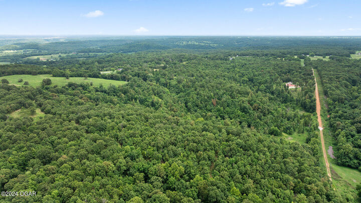 Tract 2 Styles Road --  Noel MO 64854 photo