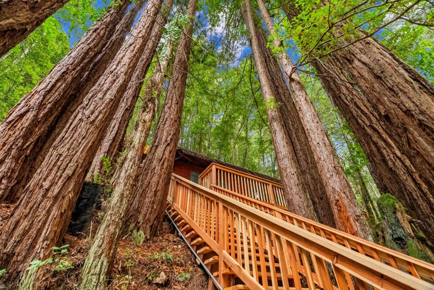 Property Photo: 1741 Gold Gulch Road CA 95018