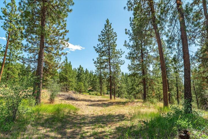 Property Photo: 786X Arden Butte Rd WA 99114