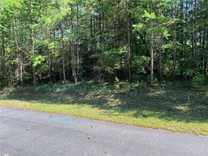 Property Photo: 20 Vineyard Park SC 29685