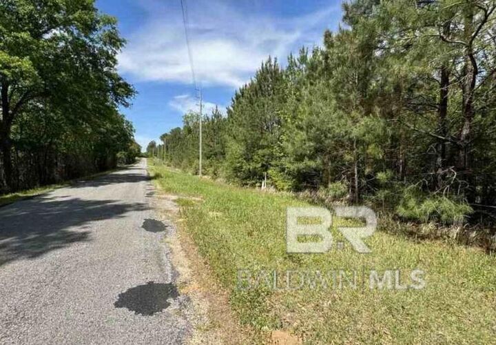 Property Photo:  0 Horace Odom Road  AL 36558 