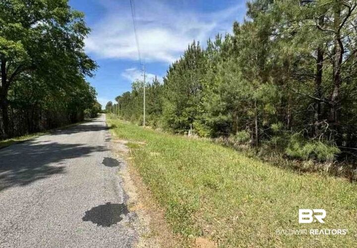 Property Photo:  0 Horace Odom Road  AL 36558 