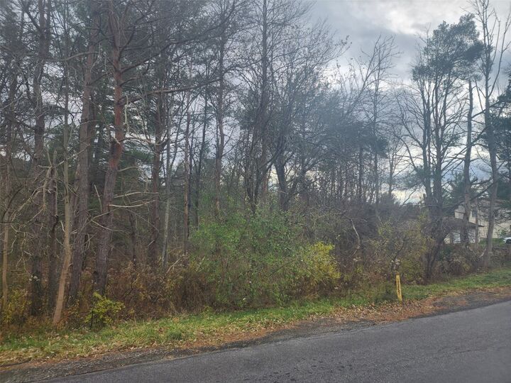 Property Photo: 238 Foster Road NY 13850