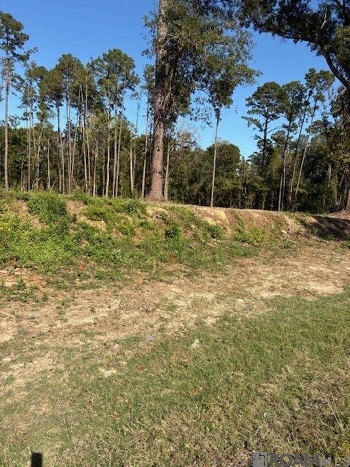 Property Photo:  24087 La Hwy 22 Highway  LA 70449 