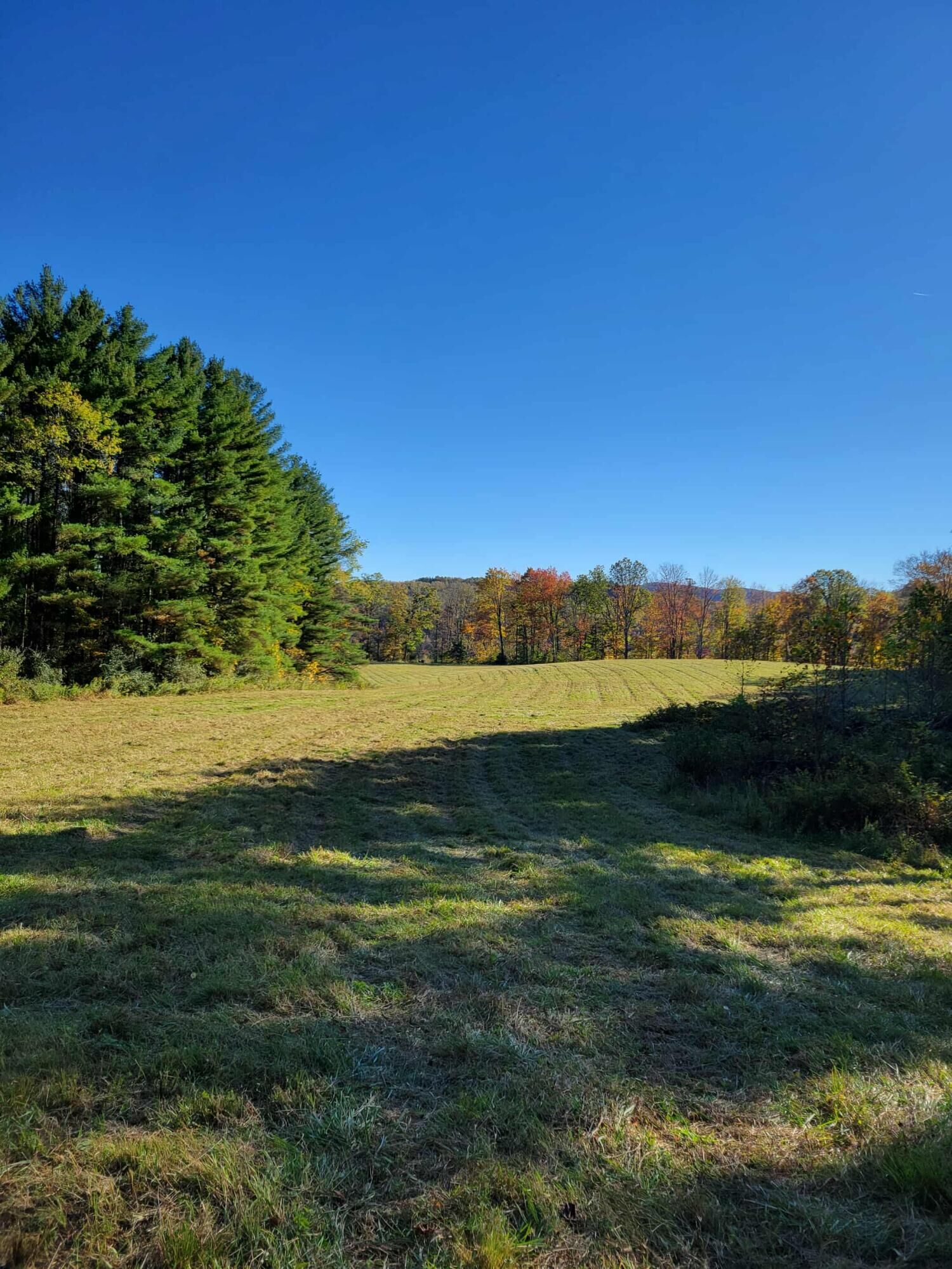 Property Photo: 0 Hurricane Ridge Rd WV 25958