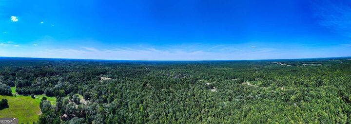 Property Photo: 0 Branch Hebron Road GA 30222