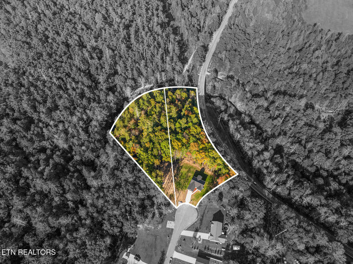 Property Photo: 4.47 Ac 523 Ferry Bend Tr TN 38571