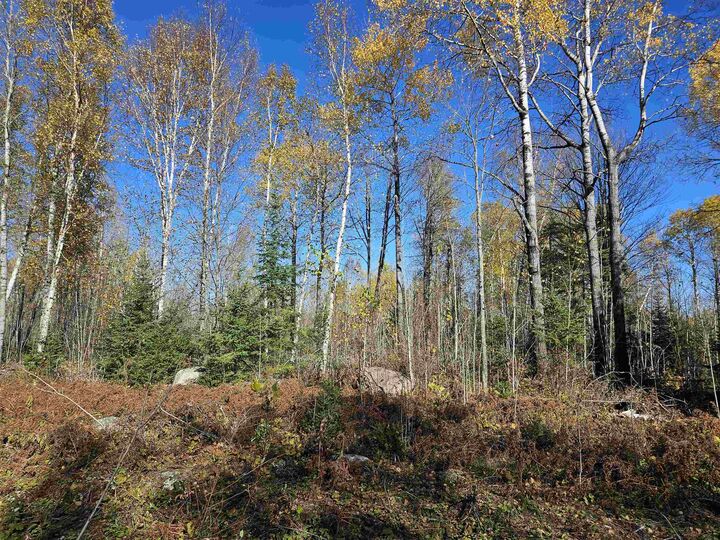 Property Photo: Xx Mattila Rd MN 55792