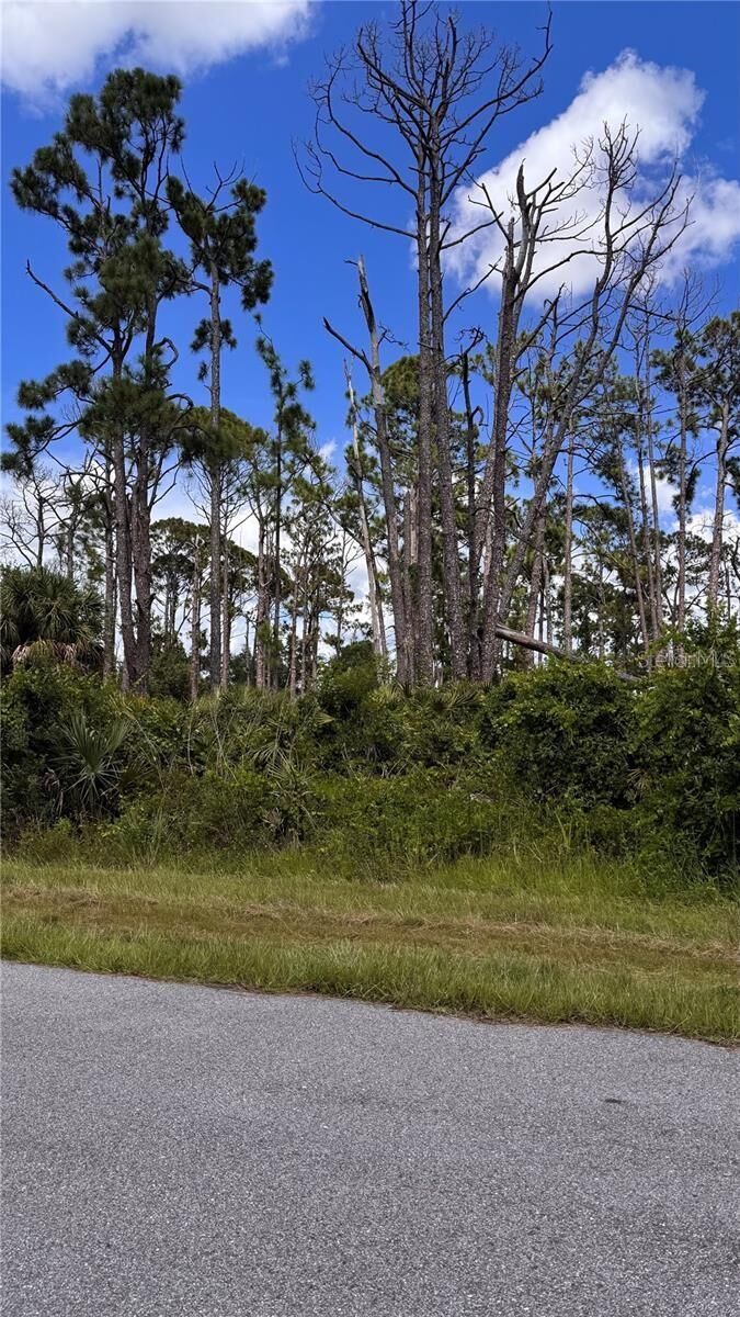 Property Photo:  72 Pompano Street  FL 33953