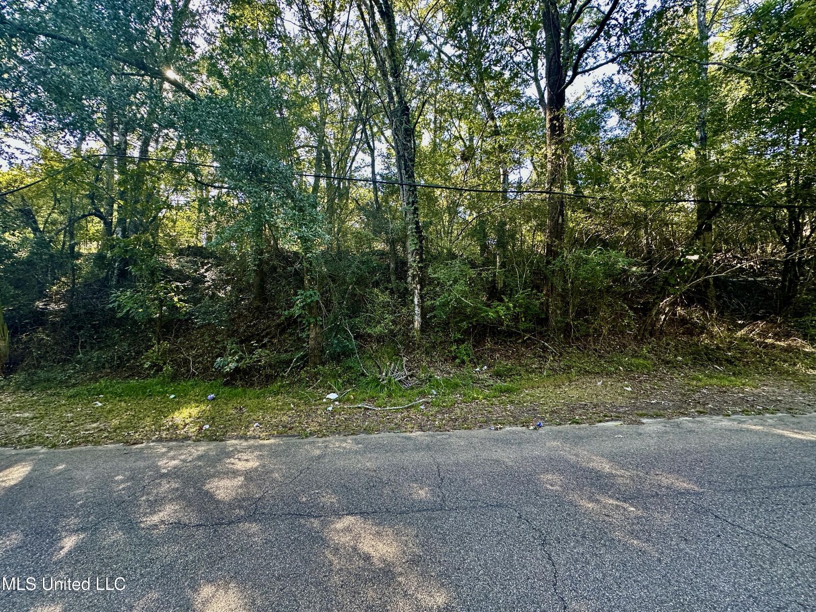Property Photo:  0 Vernon Road  MS 39056 