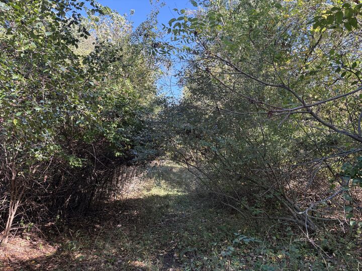 Property Photo: Vl 40 Clinton Way MI 49201