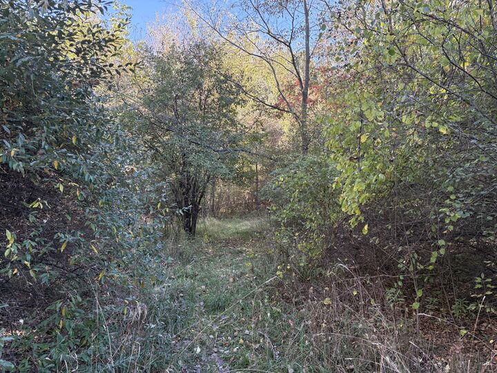 Property Photo: Vl 69 Clinton Way MI 49201