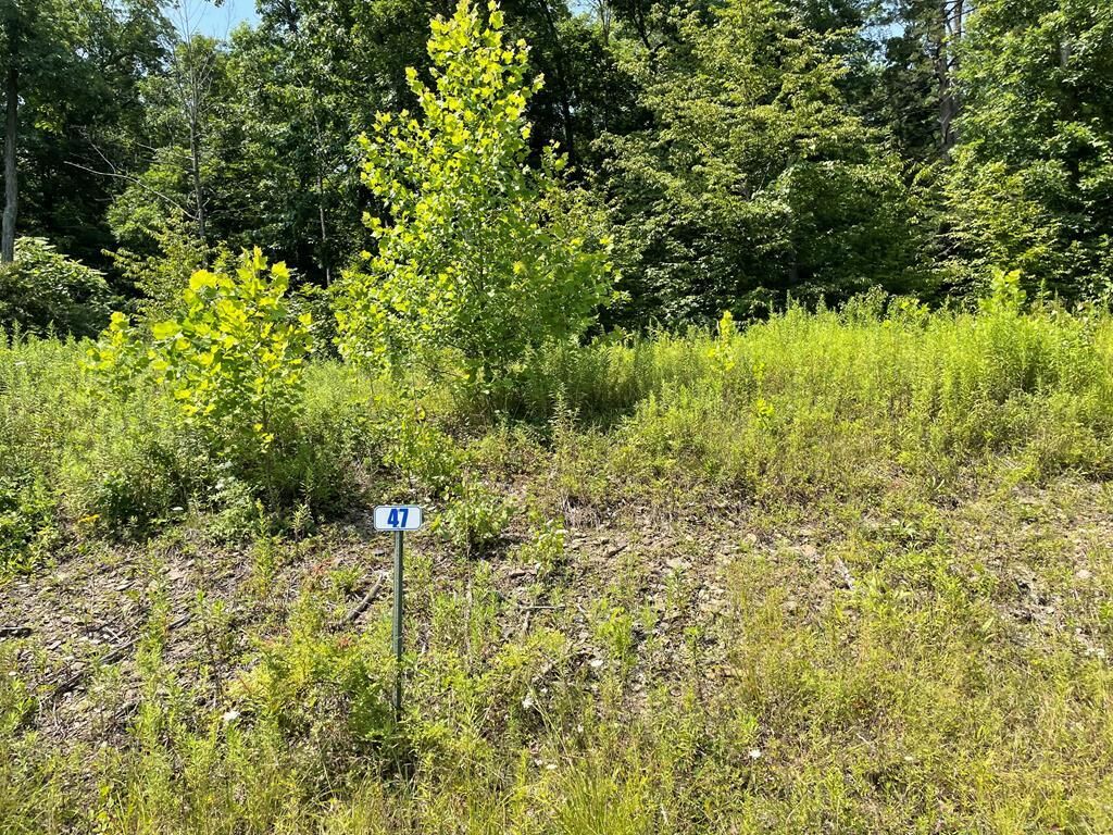 Property Photo: Lot 47A Hemlock Hills Rd PA 18848