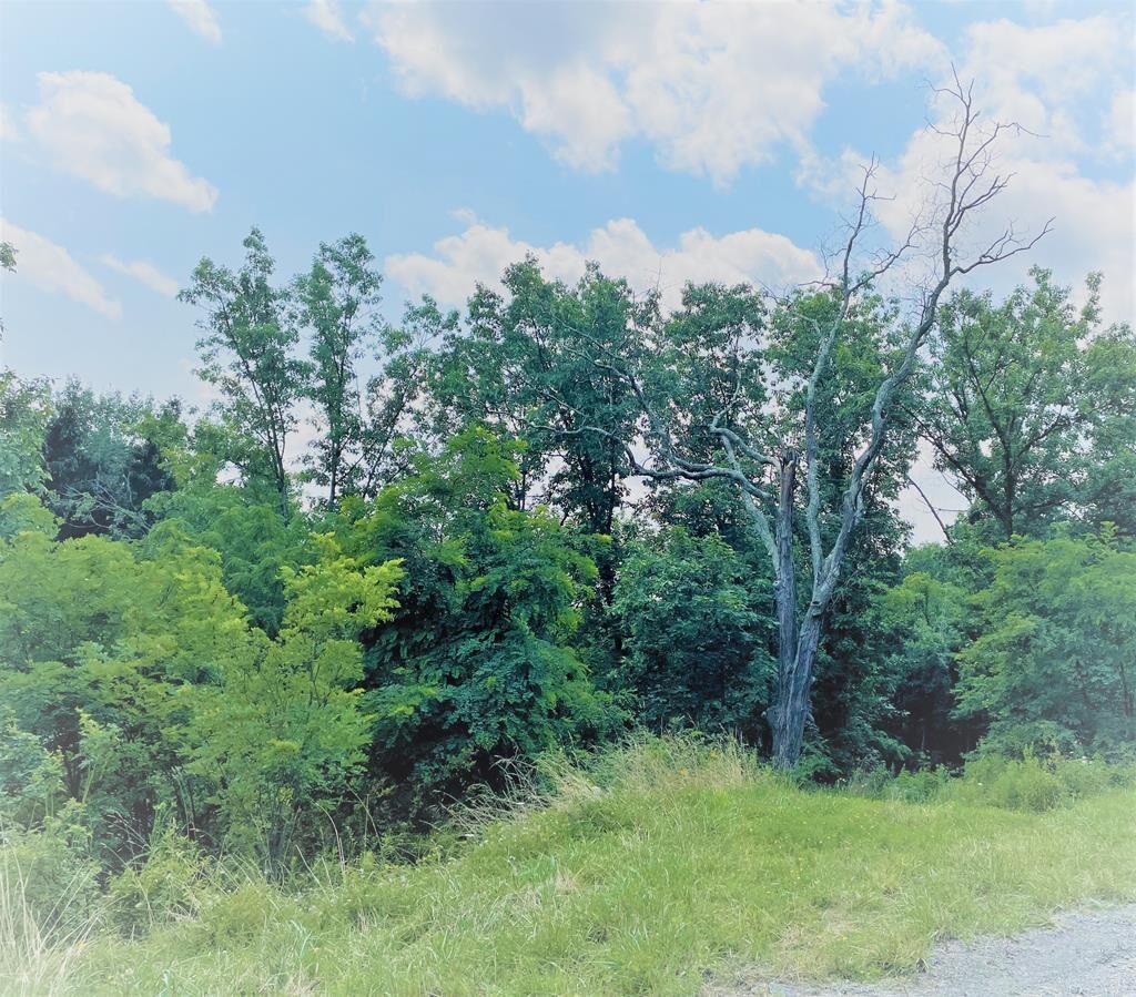 Property Photo: Lot 2A Hemlock Hills Rd PA 18848